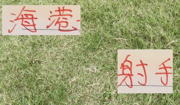 没思到武磊前队友梅伦多 是激活海港弓手大佬